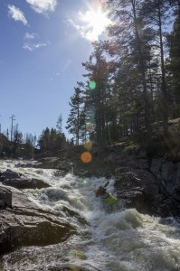 IMG_9865